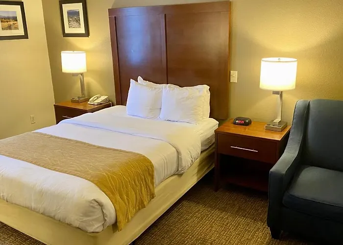 Comfort Inn I-17&I-40 Flagstaff